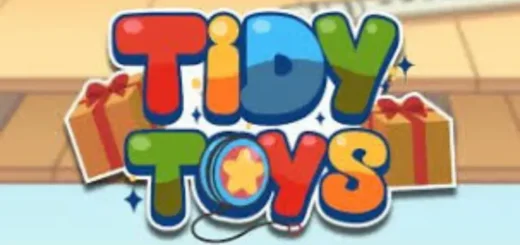 Tidy Toys